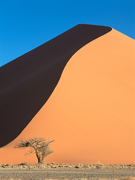 Nambib - Naukluft National Park Namibia (c)Martyn Colbeck