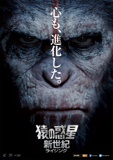 猿の惑星:新世紀(ライジング) [Blu-ray] w17b8b5 81KuiTwwURL.jpg