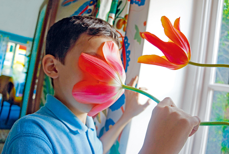 Pipilotti Rist, Mercy Garden Retour Skin, 2014. Audio video installation. Photo inspired by Yuji, co