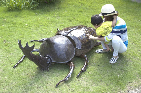 生きたカブトムシが二百匹！触って観察できる昆虫展 | チケットぴあ[イベント 博覧会・展示会・見本市]