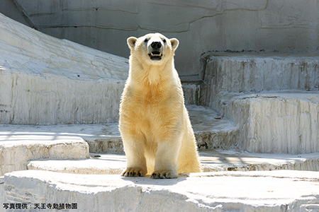 天王寺動物園