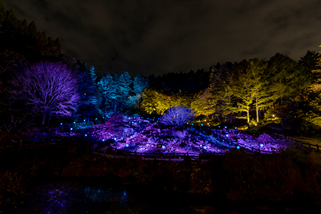 秋本番の今だから行きたい ザ ナイトミュージアム 夜の芸術散歩 チケットぴあ イベント イベントその他