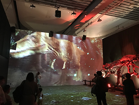 NAKED, INC.による映像コンテンツ