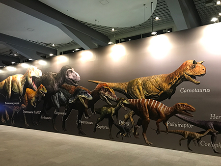 『ティラノサウルス展 ～T.rex 驚異の肉食恐竜～』内観