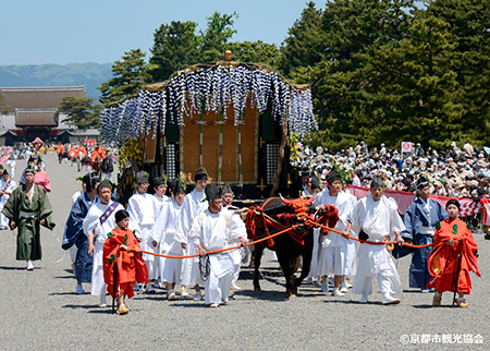 薄紫色の藤の花の装飾を揺らしながら、車輪を回してゆっくり進む牛車「御所車」