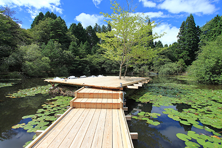 ≪六甲の浮き橋とテラス≫川俣 正（トレイルエリア／新池）
