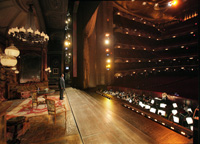 The Audition～メトロポリタン歌劇場への扉　