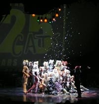 四季「CATS」日本上演25周年達成記念 特別カーテンコールより