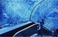 横浜・八景島シーパラダイスに新展示水槽が登場