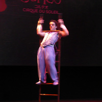 はしごを自在にあやつる人気演目「ラダー」