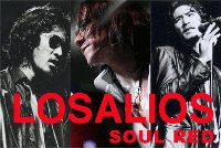 LOSALIOS(中村達也)