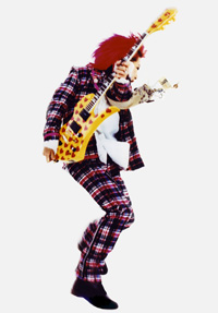 hide