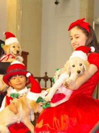 子犬を抱っこして登場した加藤清史郎、アヤカ・ウィルソン
