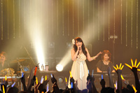 ELISA