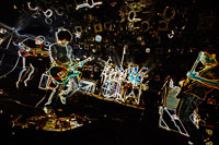 the band apart