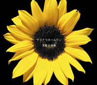 ニュー・シングル『サヨナラホームラン』(4月28日(水)発売)