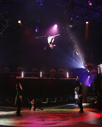 「グレート・モスクワ・サーカス」による演目