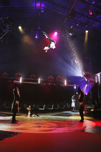 「グレート・モスクワ・サーカス」による演目