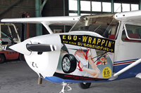 EGO-WRAPPIN'の宣伝セスナ機