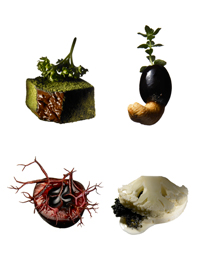 食べられる作品「感情のテイスト」