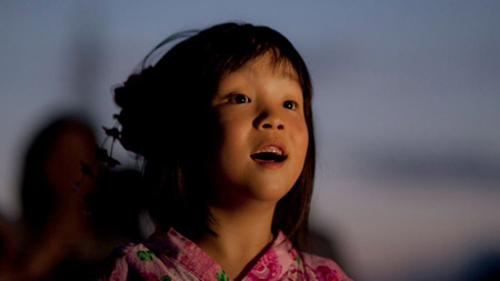 ドキュメンタリー映画『LIGHT UP NIPPON　日本を照らした奇跡の花火』