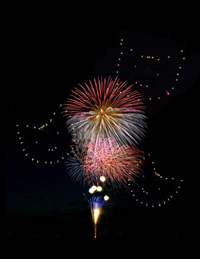 こどもたちに笑顔を。ポケモン花火が夏の夜空を彩る | チケットぴあ