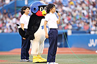 COWCOWの「あたりまえ始球式」
