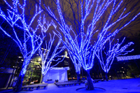 SENDAI 光のページェント