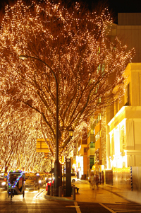 SENDAI 光のページェント