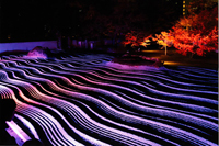 承天寺ライトアップ