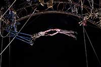 Cirk VOST-シルク・ヴォスト-“Epicycle”アジア初日本公演