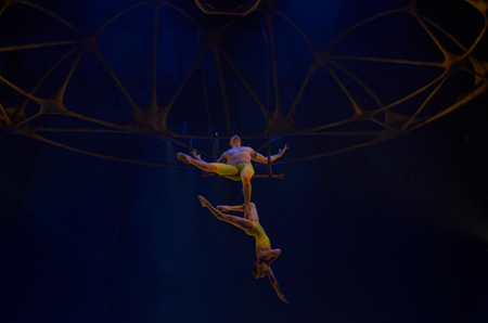 シルク・ドゥ・ソレイユ　ダイハツ　トーテム