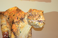 アウストラロヴェナトルのパペット