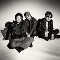 Amazon.co.jp: Theピーズ30周年日本武道館 [DVD] : ピーズ: DVD