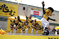 Tigers Girls