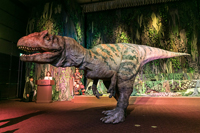 「世界一受けたい授業 THE LIVE 恐竜に会える夏！」会見の模様