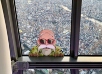 フロア445 天望回廊