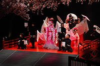 イマーシブシアター『サクラヒメ』～「桜姫東文章」より～
