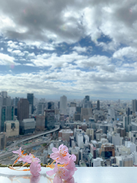 「空中庭園Congratulations on your Spring 2020」
