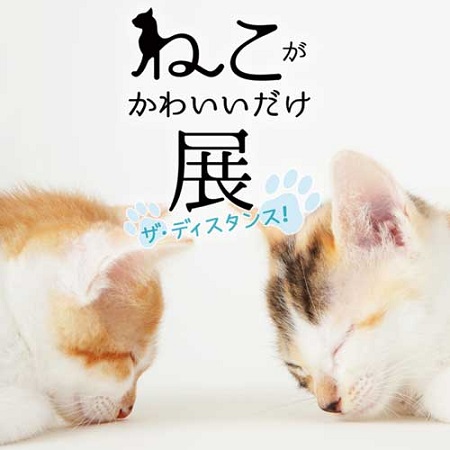ねこがかわいいだけ展 ザ・ディスタンス！