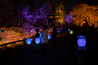 高橋匡太「Glow with Night Garden Project in Rokko提灯行列ランドスケープ２０２０」