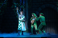 (C)ミュージカル「モンティ・パイソンのSPAMALOT」製作委員会