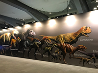 『ティラノサウルス展 ～T.rex 驚異の肉食恐竜～』内観