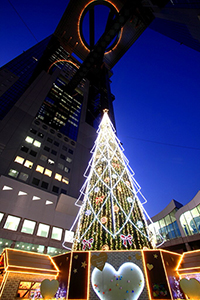 ツリーは連日17:00～22:00まで点灯（12月25日まで）