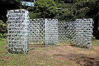 ≪溢れる≫加藤美紗（六甲高山植物園）