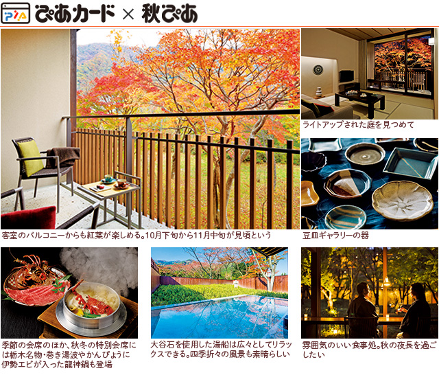 ぴあプレミアム会員ページ プレゼント ご招待 チケットぴあ チケット情報 販売