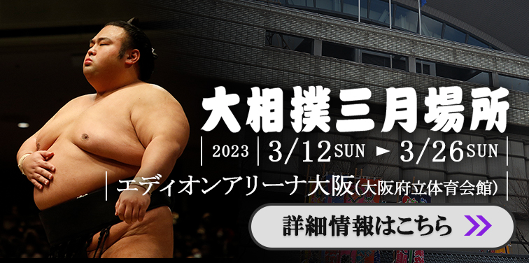 スーパーセール期間限定 相撲 長野巡業 タマリ席S (正面)２枚 長野巡業