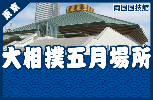 大相撲 相撲 チケット 5月份