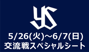 交流戦スペシャルシート