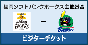 ビジターチケット